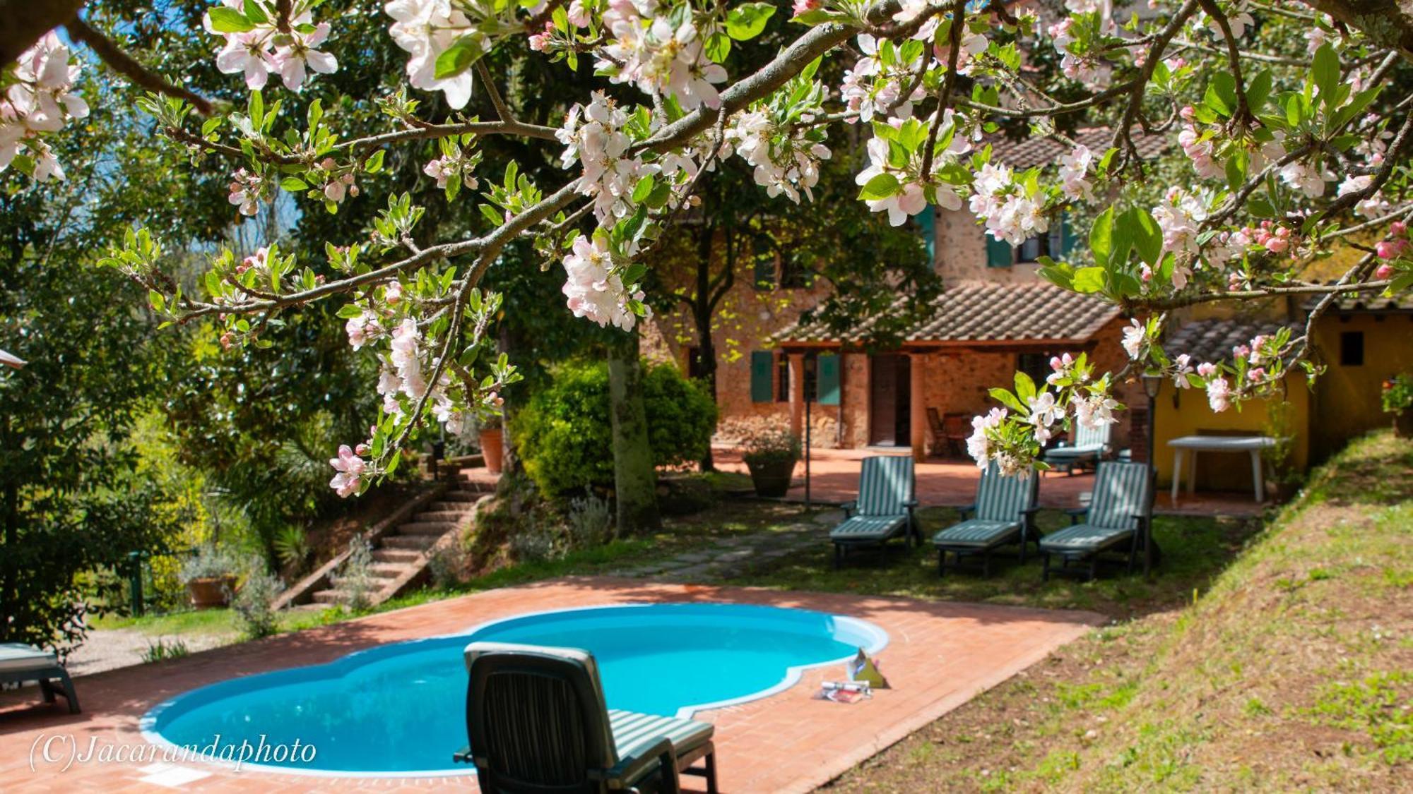 Villa La Pieve كامايوري المظهر الخارجي الصورة